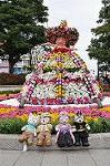 Dcim10939/DSC_6286