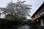 Dcim10951/DSC_7726