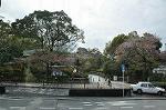 Dcim10952/DSC_7885