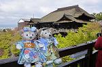 Dcim10953/DSC_7962