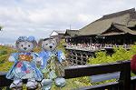 Dcim10953/DSC_7965