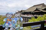 Dcim10953/DSC_7966