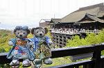 Dcim10953/DSC_7973