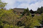 Dcim10953/DSC_7997