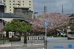 Dcim10953/DSC_8042