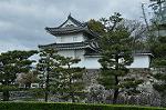 Dcim10953/DSC_8075