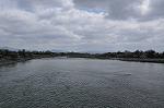 Dcim10954/DSC_8174