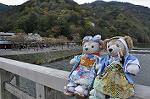 Dcim10954/DSC_8183