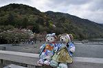 Dcim10954/DSC_8195