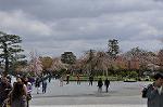 Dcim10954/DSC_8216