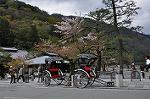 Dcim10954/DSC_8217