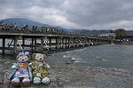 Dcim10954/DSC_8230