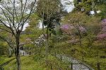 Dcim10955/DSC_8368