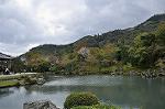 Dcim10955/DSC_8377