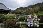 Dcim10956/DSC_8384
