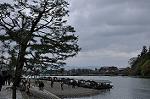 Dcim10956/DSC_8453