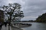 Dcim10956/DSC_8454