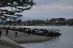 Dcim10956/DSC_8455