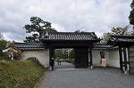 Dcim10956/DSC_8528