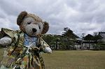 Dcim10957/DSC_8551