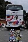 Dcim10958/DSC_8765
