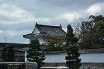 Dcim10958/DSC_8774