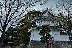 Dcim10958/DSC_8784