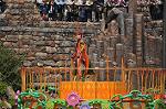 Dcim10961/DSC_9207