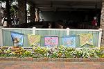 Dcim10967/DSC_0121
