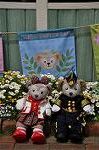 Dcim10967/DSC_0122