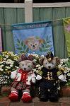 Dcim10967/DSC_0123