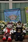 Dcim10967/DSC_0124