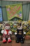 Dcim10967/DSC_0126