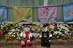 Dcim10967/DSC_0127
