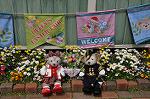 Dcim10967/DSC_0128