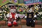 Dcim10967/DSC_0130