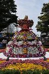 Dcim10967/DSC_0135