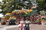 Dcim10968/DSC_0143