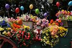 Dcim10968/DSC_0153