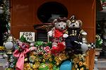 Dcim10968/DSC_0173