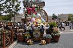 Dcim10968/DSC_0218