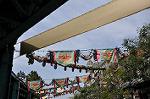 Dcim10968/DSC_0242