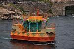 Dcim10979/DSC_1530