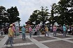 Dcim10981/DSC_1839