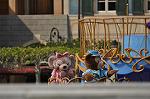 Dcim10981/DSC_1893
