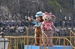 Dcim10983/DSC_2197