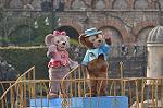 Dcim10983/DSC_2222