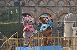Dcim10983/DSC_2223