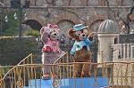 Dcim10983/DSC_2224
