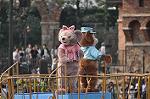 Dcim10984/DSC_2235